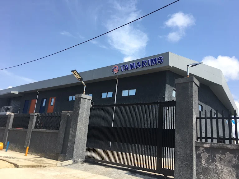 Tamarims