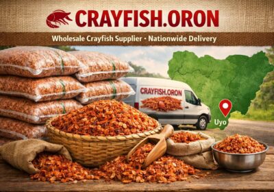 file_00000000de9c72438aae7832c1cb7c41