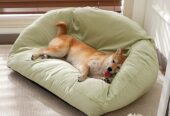 Top Pet Palace
