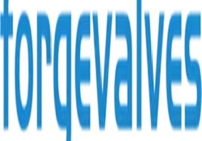 logo-forgevalves-china-forged-valves-supplier_pLkwUX-1300